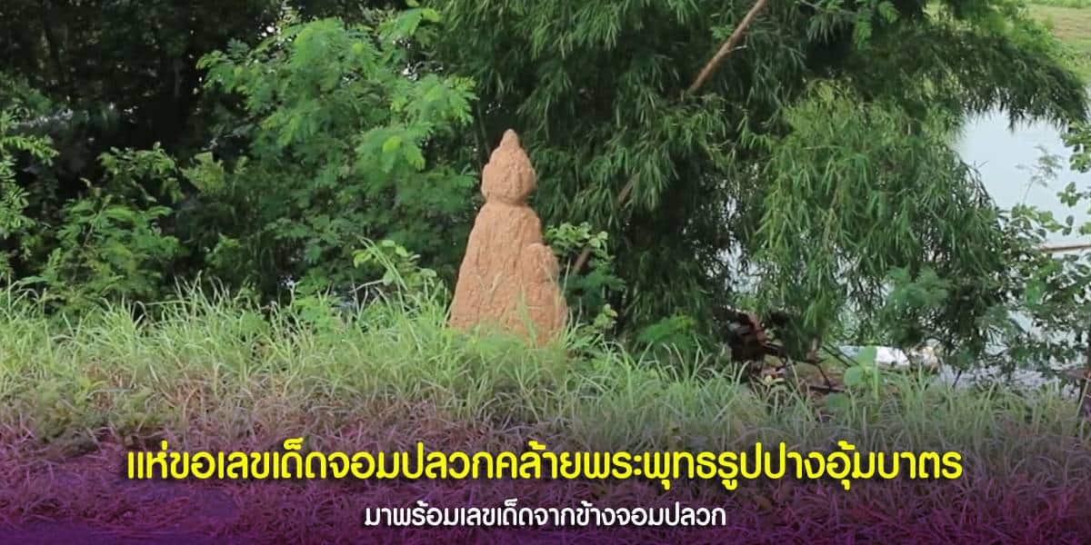 จอมปลวกรูปทรงคล้ายพระพุทธรูปปางอุ้มบาตร